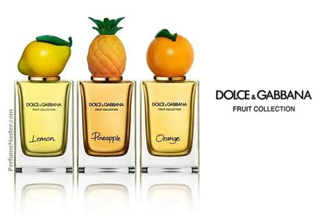 dolce gabbana fruit collection perfume|dolce and gabbana unisex fragrance.